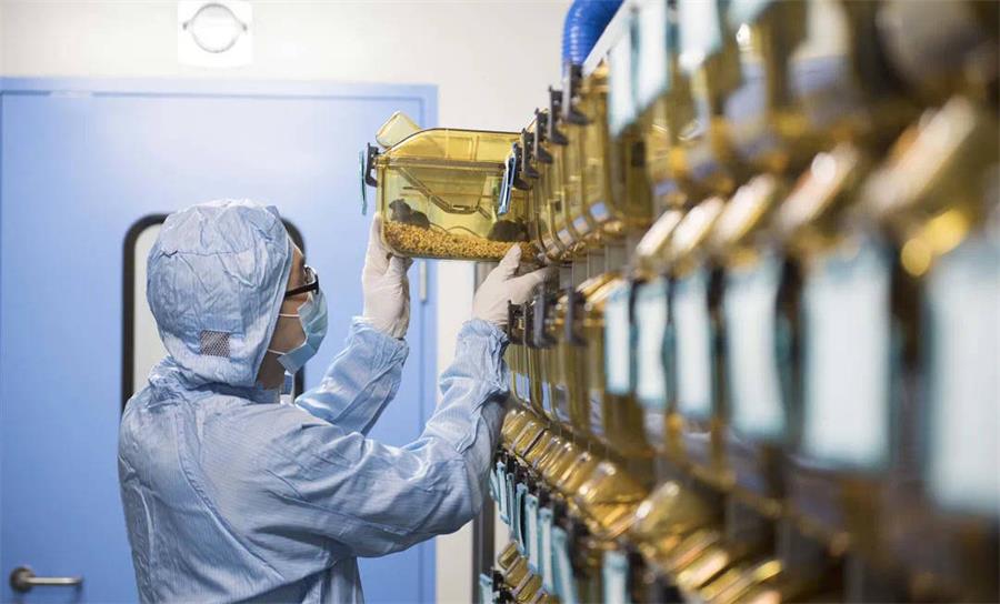 動(dòng)物房 動(dòng)物房